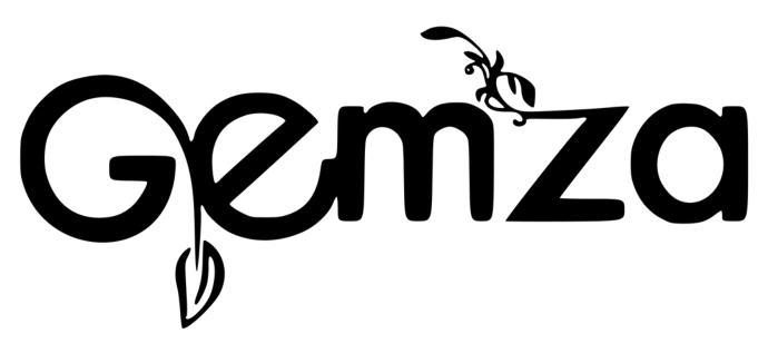 Gemza productos y asesorías